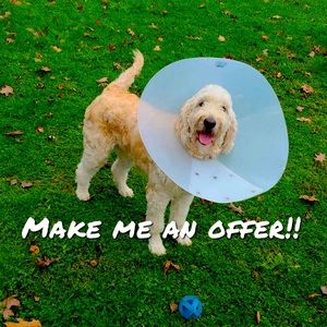 Make me an offer today!!